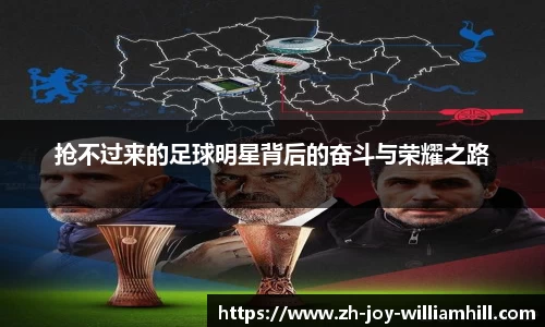 抢不过来的足球明星背后的奋斗与荣耀之路